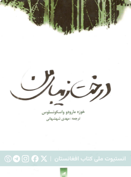 درخت زیبای من