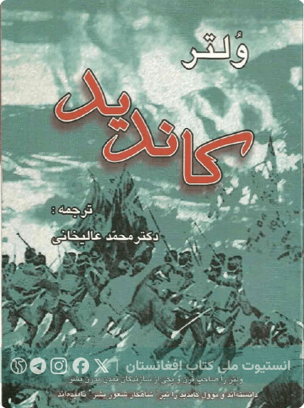 کاندید