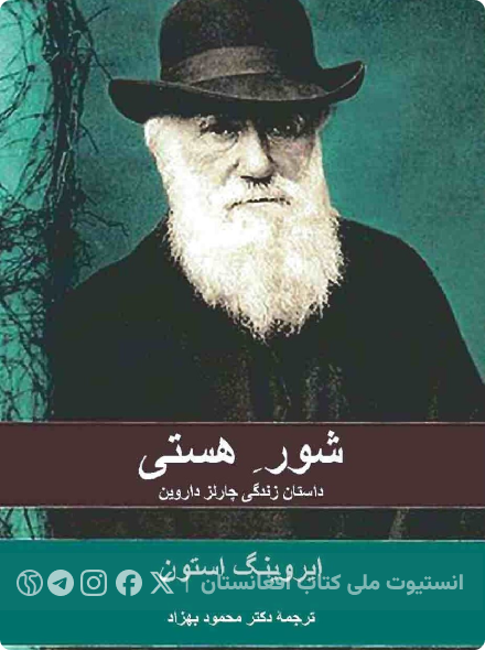 شور هستی