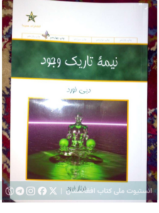 نیمه تاریک وجود