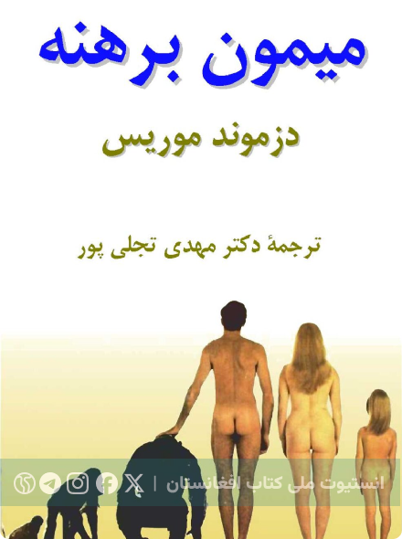 میمون برهنه